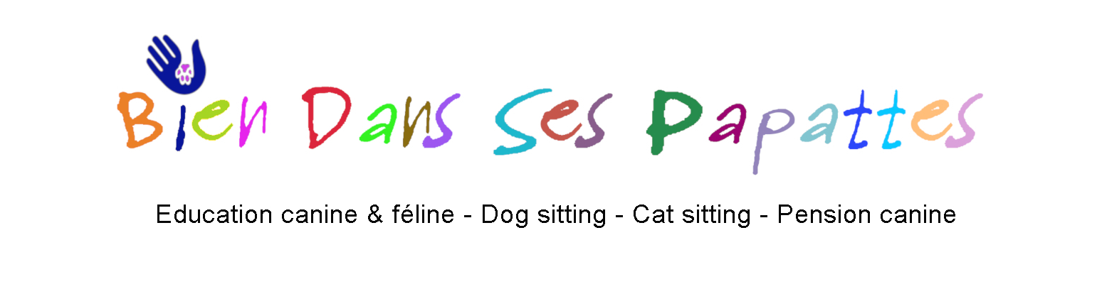 Bien Dans Ses Papattes - Education canine et féline - Dog sitting - Cat sitting - Pension canine