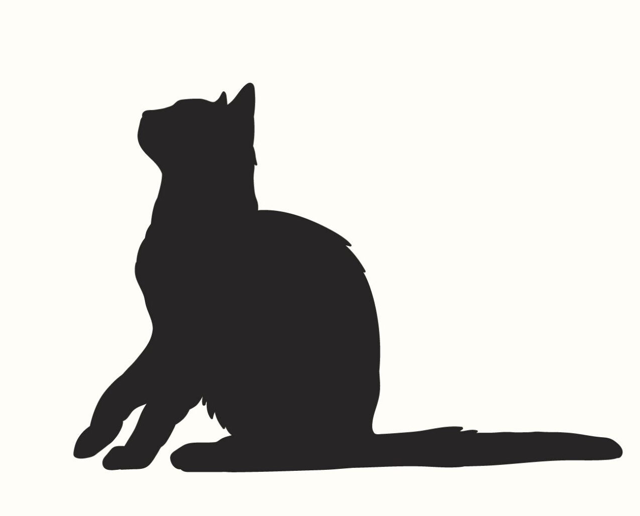 chat cat sitting à domicile bien dans ses papattes